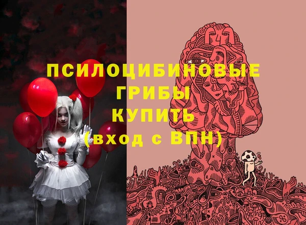 синтетический гашиш Богородск