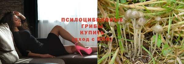 синтетический гашиш Богородск